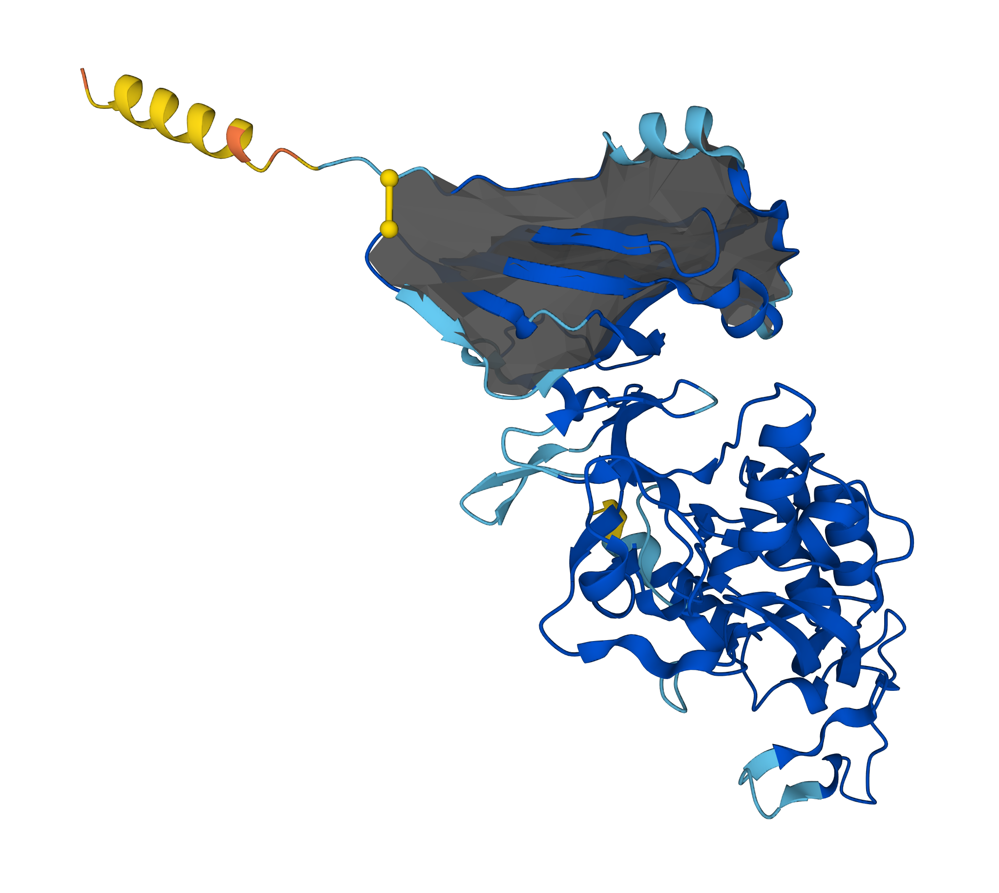 Example of protein with a lasso (A0A1Z5L3X5)