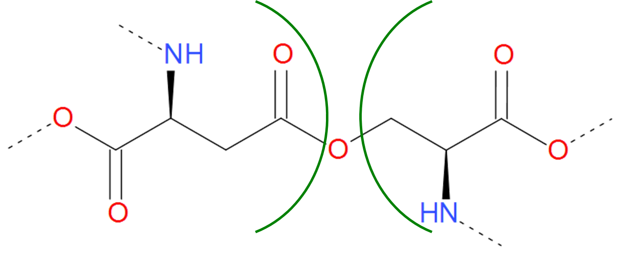 Ester bridge schematic