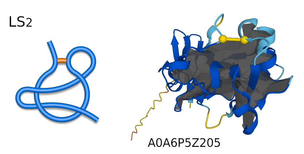 Schematic supercoiled lasso representations