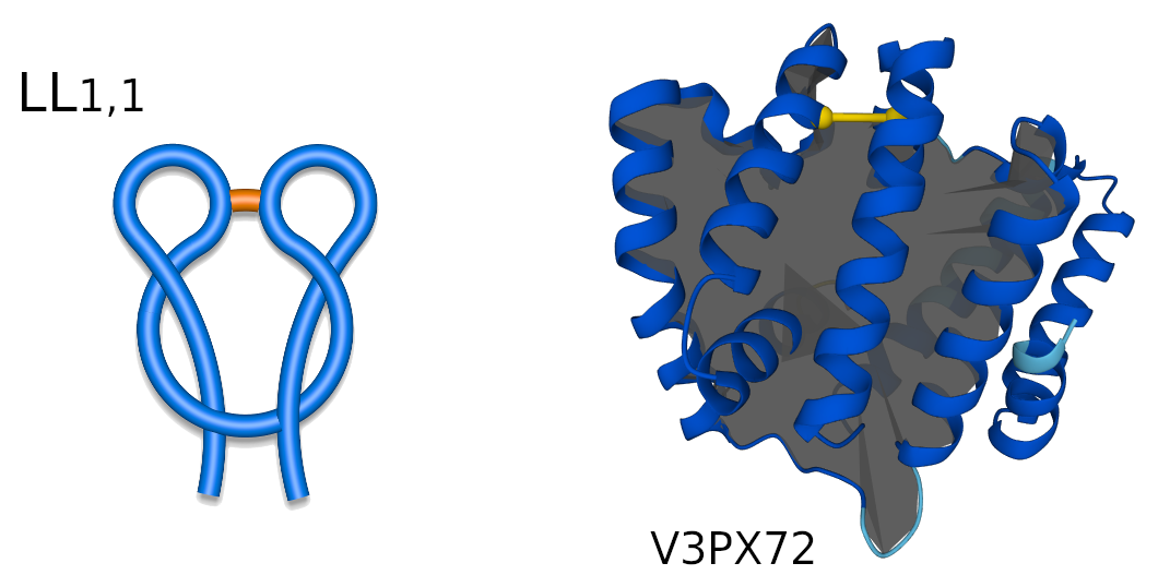 Schematic two-sided lasso representations