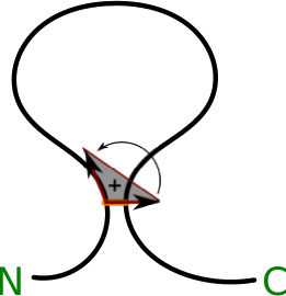 Orientation of the surface