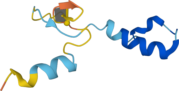 Polypeptide with a very small loop